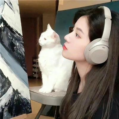 总统班底